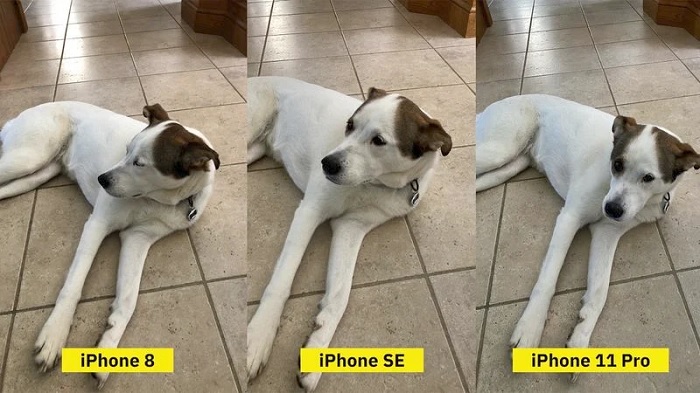 苹果iPhone XS Max 256GB版国美抢购价9999元