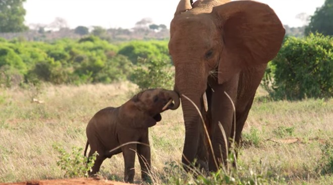 iPad Pro 支持 Wi-Fi 6 标准, MacBook Air 摄像头仍为 720p iPad Pro 支持 Wi-Fi 6 标准, MacBook Air 摄像头仍为 720p