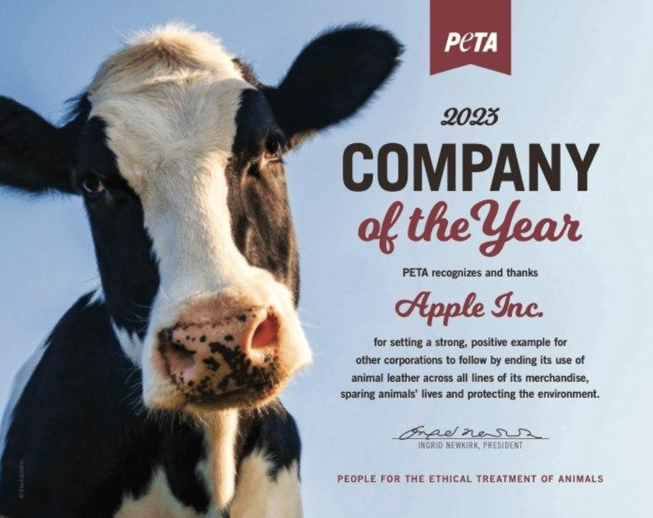 目前最值得买的iPhone是哪一款？并不是iPhoneX