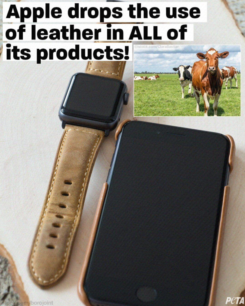 苹果前零售主管阿伦茨找到新工作:加入 Airbnb 董事会 苹果前零售主管阿伦茨找到新工作:加入 Airbnb 董事会