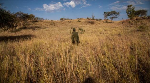 爆料：苹果 iPhone 15 系列将采用混合镜头，拍摄色彩更丰富