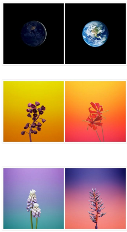 苹果为 iPhone 15 系列机型推出硅胶保护壳，上手视频欣赏