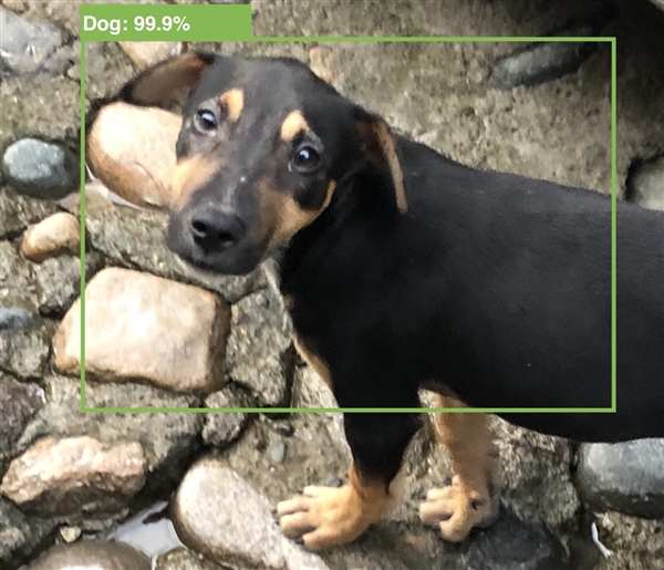 苹果 AirPods 2 需搭配 iOS 12.2 使用，暗示正式版即将到来