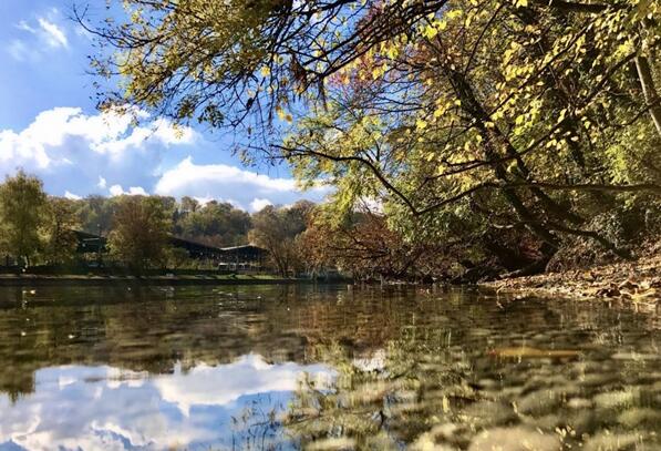 苹果新品发布会:你值得期待的几件事 苹果新品发布会:你值得期待的几件事